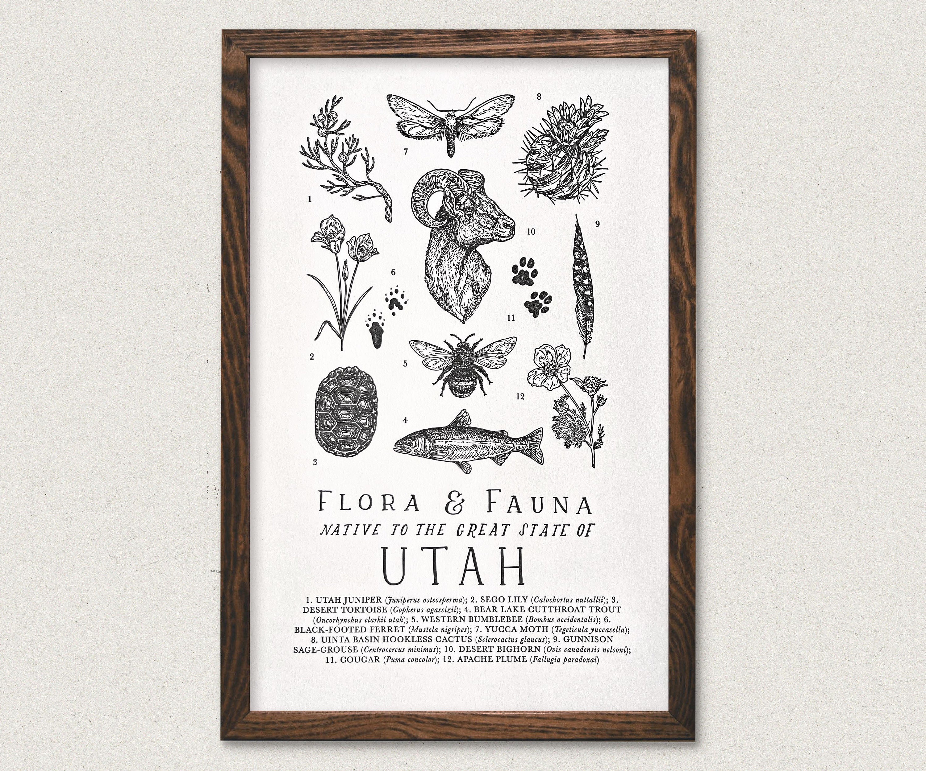 Flora & Fauna: Designs from the Arts & Crafts Movement - Utah Style and  Design