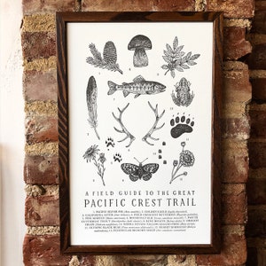 Pacific Crest Trail Wildlife Field Guide Letterpress Print PCT PNW Hiking Trail Outdoors Nature Wall Art image 2