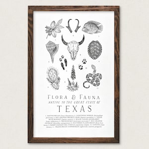 Texas Wildlife Field Guide Print - TX Outdoors Flora Fauna Wall Art