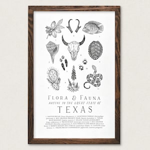 Texas Wildlife Field Guide Print - TX Outdoors Flora Fauna Wall Art