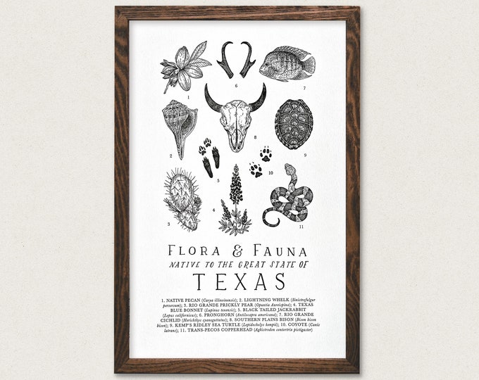 Texas Wildlife Field Guide Print TX Outdoors Flora Fauna Wall Art Etsy