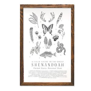 Shenandoah National Park Wildlife Field Guide Letterpress Print - SNP Outdoors Flora Fauna Wall Art