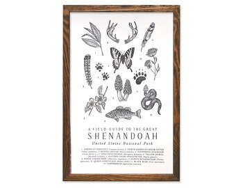 Shenandoah National Park Wildlife Field Guide Letterpress Print - SNP Outdoors Flora Fauna Wall Art