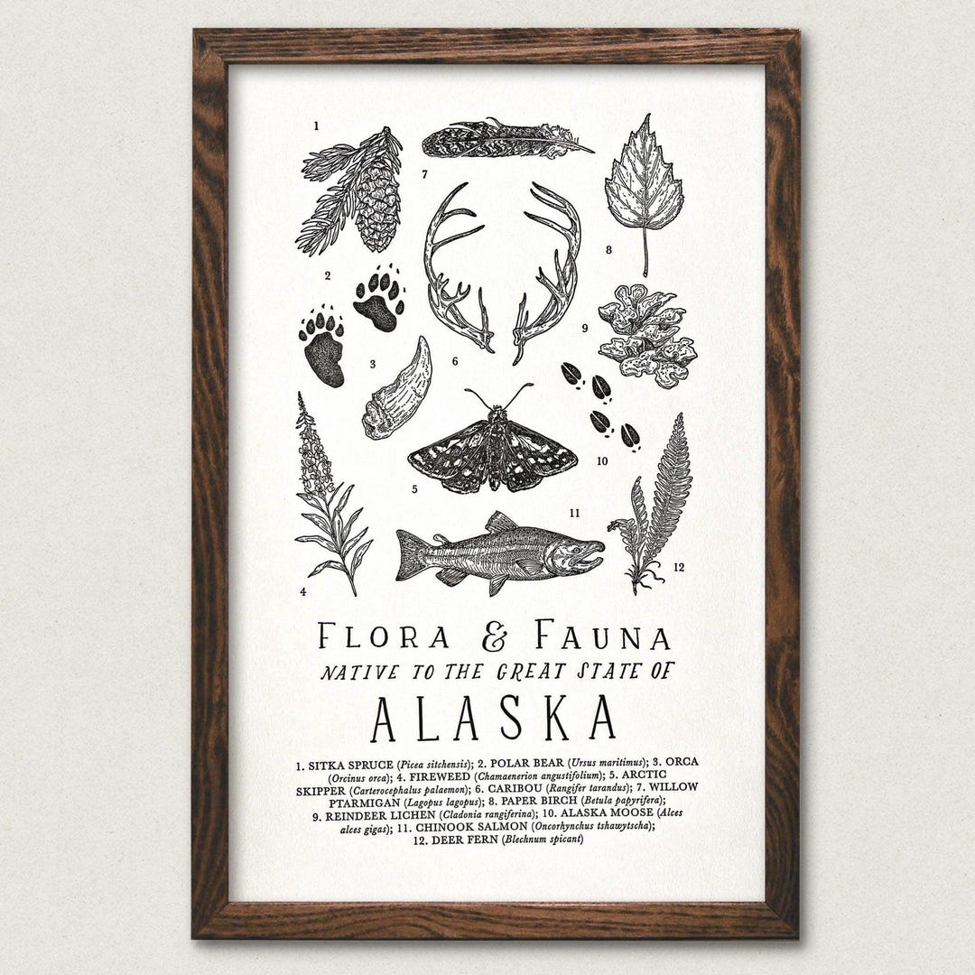 Alaska Field Guide Art Print - Etsy