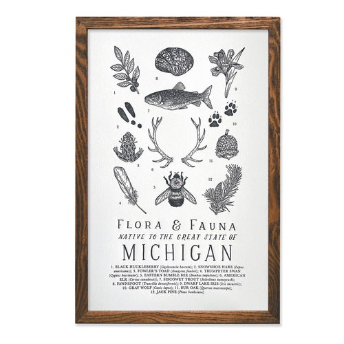 Michigan Wildlife Field Guide Print - MI Outdoors Flora Fauna Wall Art