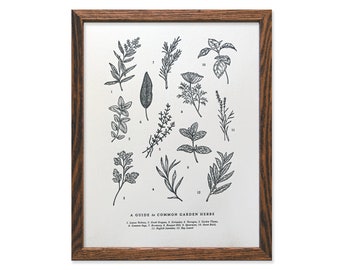 Guide to Garden Herbs Letterpress Chart