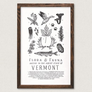 Vermont Wildlife Field Guide Print - Outdoors VT Flora Fauna Wall Art