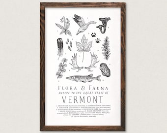 Vermont Wildlife Field Guide Print - Outdoors VT Flora Fauna Wall Art