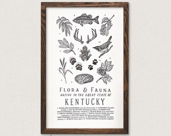 Kentucky Wildlife Field Guide Print - KY Outdoors Flora Fauna Wall Art