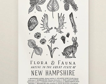 New Hampshire Field Guide Letterpress Print