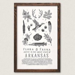Arkansas Wildlife Field Guide Print - AR Outdoors Flora Fauna Wall Art