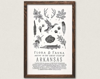 Arkansas Wildlife Field Guide Print - AR Outdoors Flora Fauna Wall Art