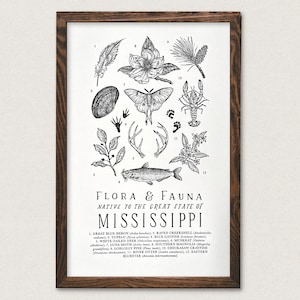 Mississippi Wildlife Field Guide Print - MS Outdoor Flora Fauna Wall Art