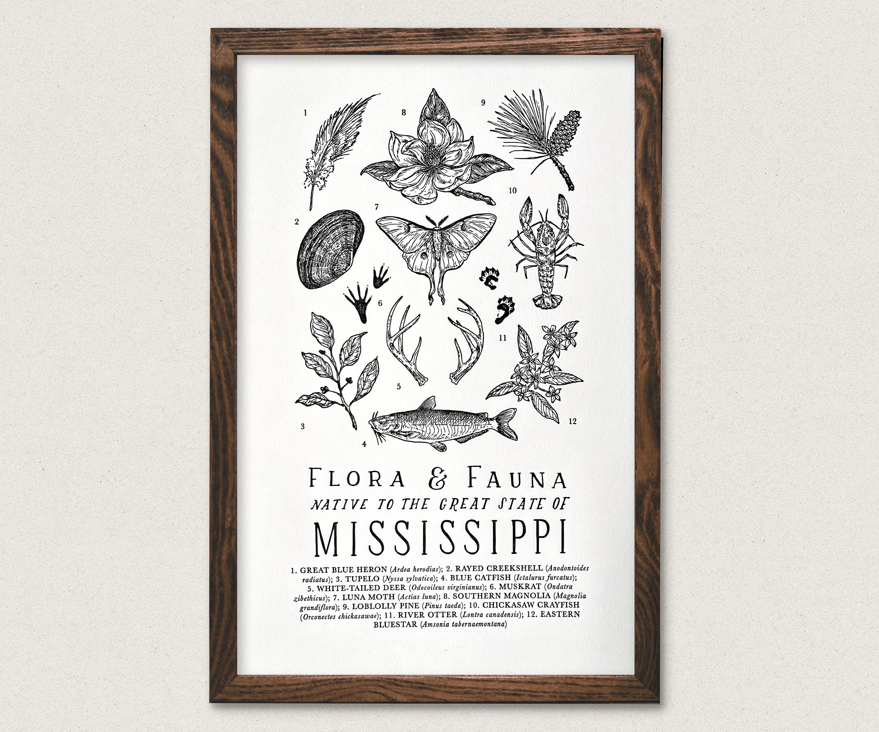 Flora Fauna Poster 