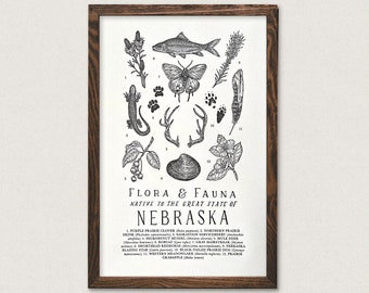 Nebraska Wildlife Field Guide Print - NE Outdoors Flora Fauna Wall Art