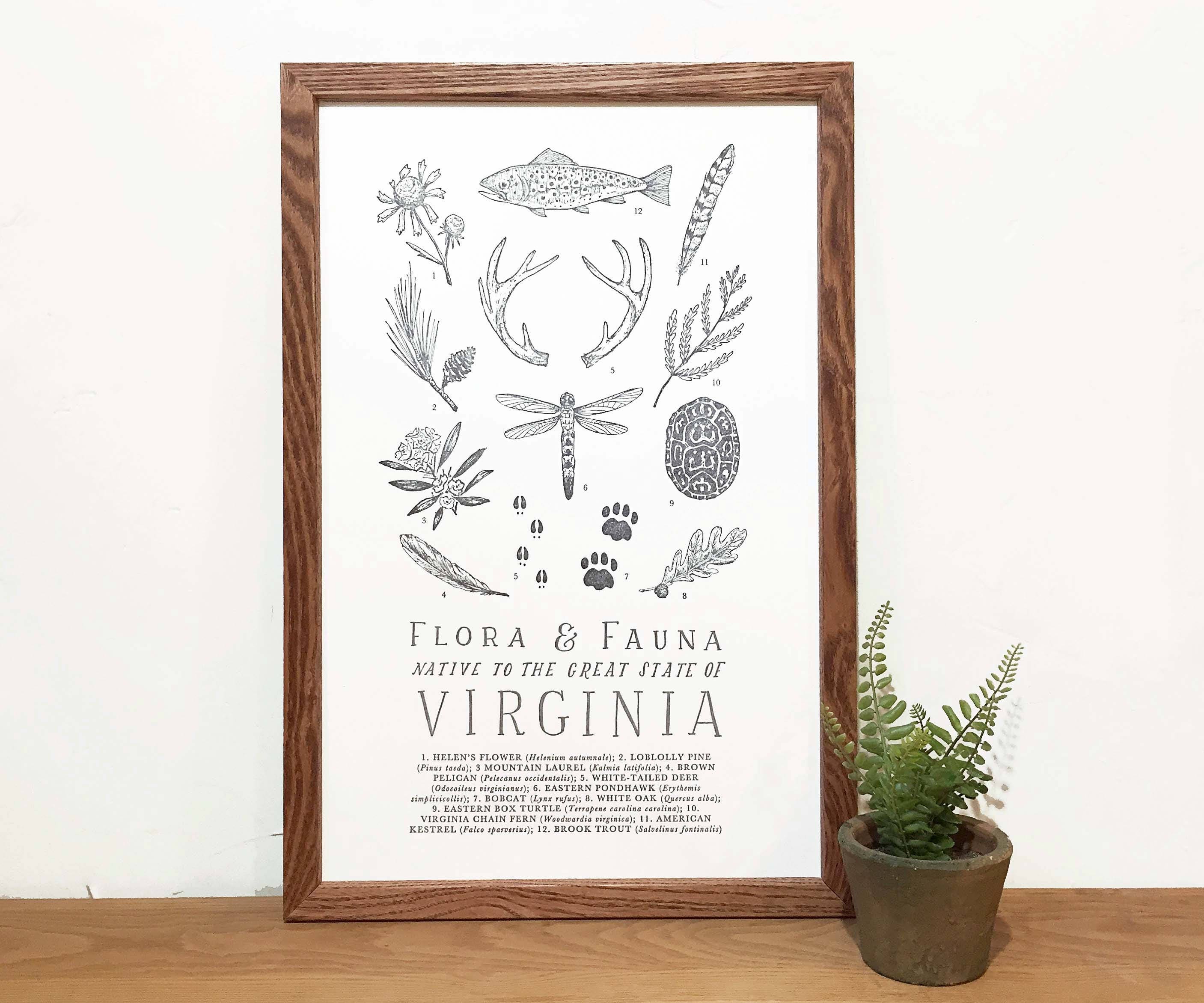 Virginia Field Guide Print