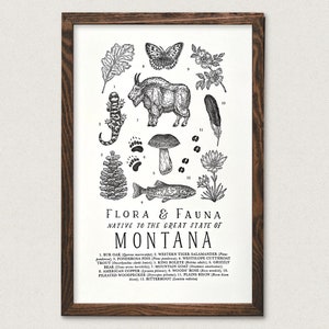 Montana Wildlife Field Guide Print - MT Outdoors Flora Fauna Wall Art