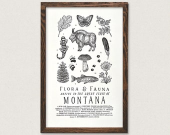 Montana Wildlife Field Guide Print - MT Outdoors Flora Fauna Wall Art