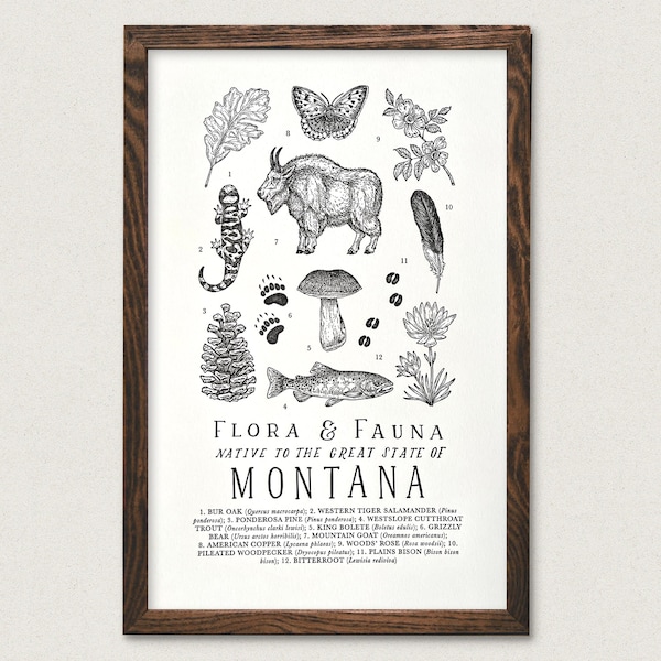 Montana Wildlife Field Guide Print - MT Outdoors Flora Fauna Wall Art