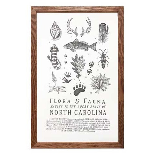 North Carolina Backyard Birds Field Guide Art Print / Etsy