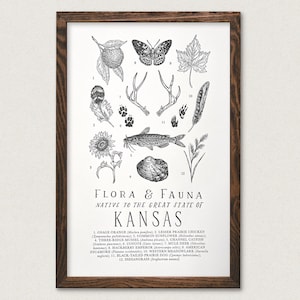 Impresión de la Guía de Campo de Vida Silvestre de Kansas - Arte mural de flora y fauna al aire libre de Kansas