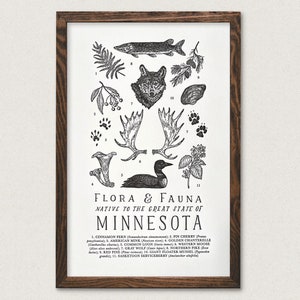 Minnesota Wildlife Field Guide Print - MN Outdoors Flora Fauna Wall Art