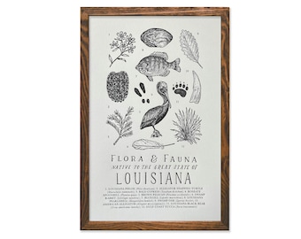 Louisiana Wildlife Field Guide Print - LA Outdoors Flora Fauna Wall Art