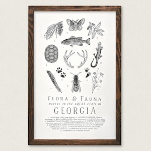 Georgia Wildlife Field Guide Print - GA Outdoors Flora Fauna Wall Art