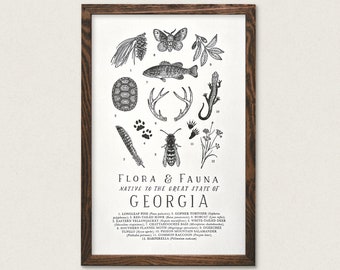 Georgia Wildlife Field Guide Print - GA Outdoors Flora Fauna Wall Art