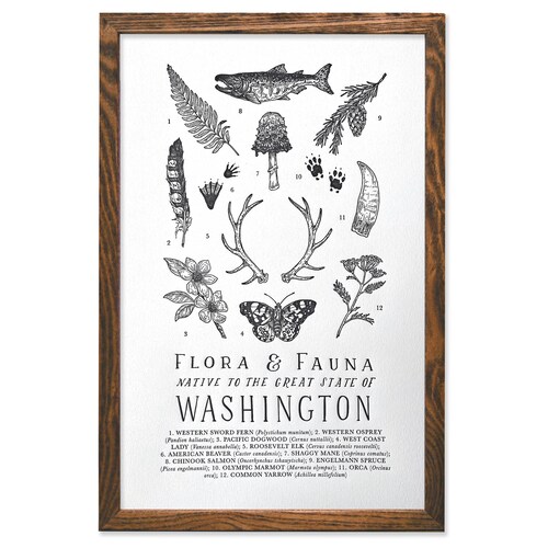 Florida Wildlife Field Guide Print FL Outdoors Flora Fauna Etsy