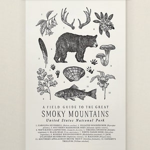 Great Smoky Mountains Park Wildlife Field Guide Letterpress Print - GSM Outdoors Flora Fauna Wall Art