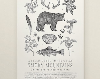 Great Smoky Mountains Park Wildlife Field Guide Letterpress Print - GSM Outdoors Flora Fauna Wall Art