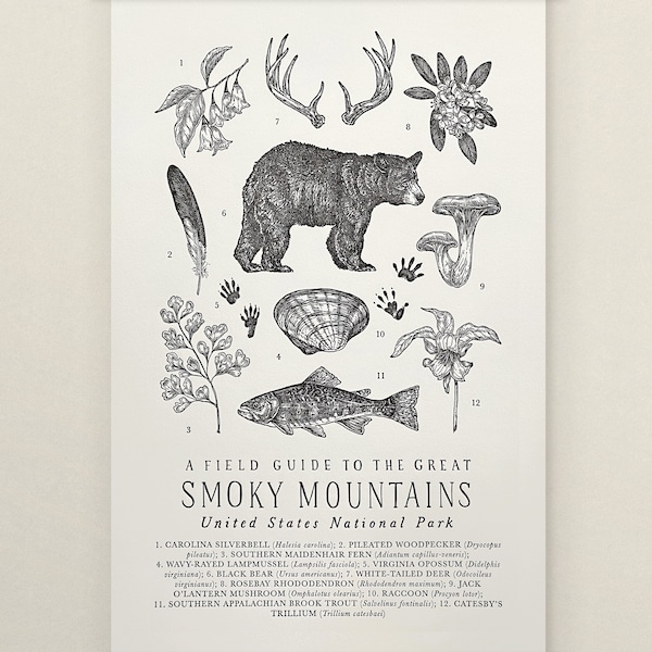 Great Smoky Mountains Park Wildlife Field Guide Letterpress Print - GSM Outdoors Flora Fauna Wall Art