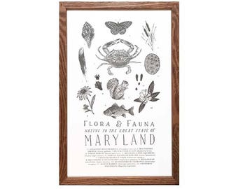 Maryland Wildlife Field Guide Print - MD Outdoors Flora Fauna Wall Art