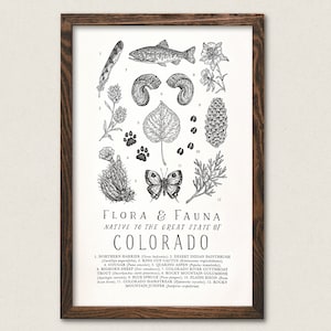 Colorado Wildlife Field Guide Print - CO Outdoors Flora Fauna Wall Art