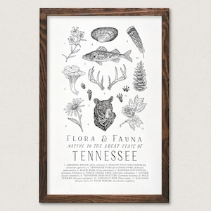 Tennessee Wildlife Field Guide Print - TN Outdoors Flora Fauna Wall Art