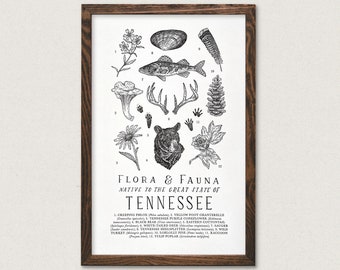 Tennessee Wildlife Field Guide Print - TN Outdoors Flora Fauna Wall Art