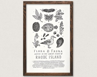 Rhode Island Wildlife Field Guide Print - RI Outdoors Flora Fauna Wall Art