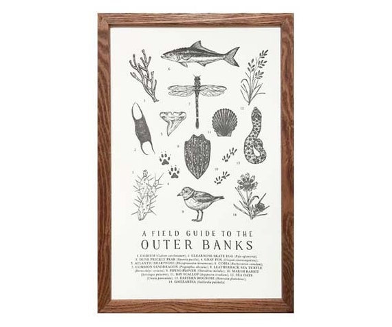 Outer Banks Fish Chart