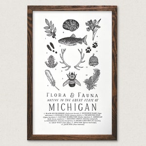 Michigan Wildlife Field Guide Print - MI Outdoors Flora Fauna Wall Art