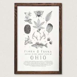 Ohio Wildlife Field Guide Print - OH Outdoors Flora Fauna Wall Art