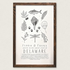 Delaware Wildlife Field Guide Print - DE Outdoors Flora Fauna Wall Art