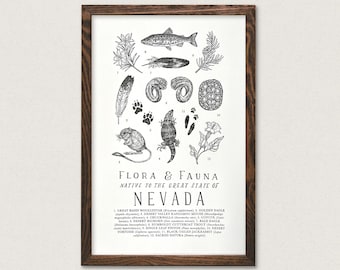 Nevada Wildlife Field Guide Print - NV Outdoors Flora Fauna Wall Art