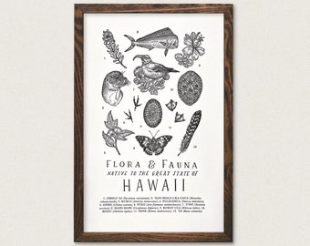 Hawaii Wildlife Field Guide Print - HI Outdoors Flora Fauna Wall Art
