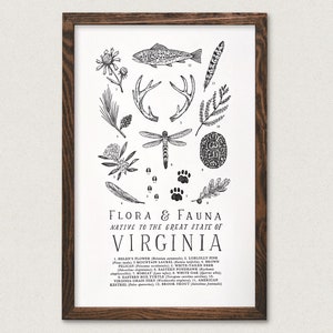 Guía de campo de la vida silvestre de Virginia impresa - Arte mural de flora y fauna de VA Outdoors