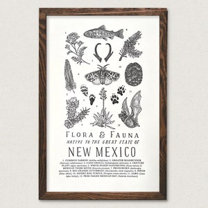 New Mexico Wildlife Field Guide Print - NM Outdoors Flora Fauna Wall Art
