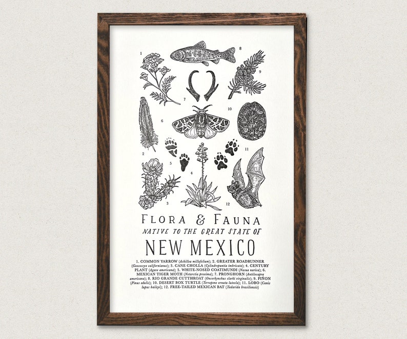 New Mexico Wildlife Field Guide Print NM Outdoors Flora Fauna Wall Art image 1