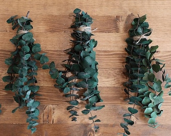 Pequeno buquê de eucalipto seco, decoração natural para casa, elegante presente botânico para vaso ou banheiro, com hastes de eucalipto perfumadas.