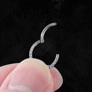 Helix Hoop Earring, Tragus Hoop, Daith Ring, Septum Jewelry, Lip Hoop, Nose Ring Gold, Nose Ring Silver, Conch Hoop, Piercing Jewelry, Gift