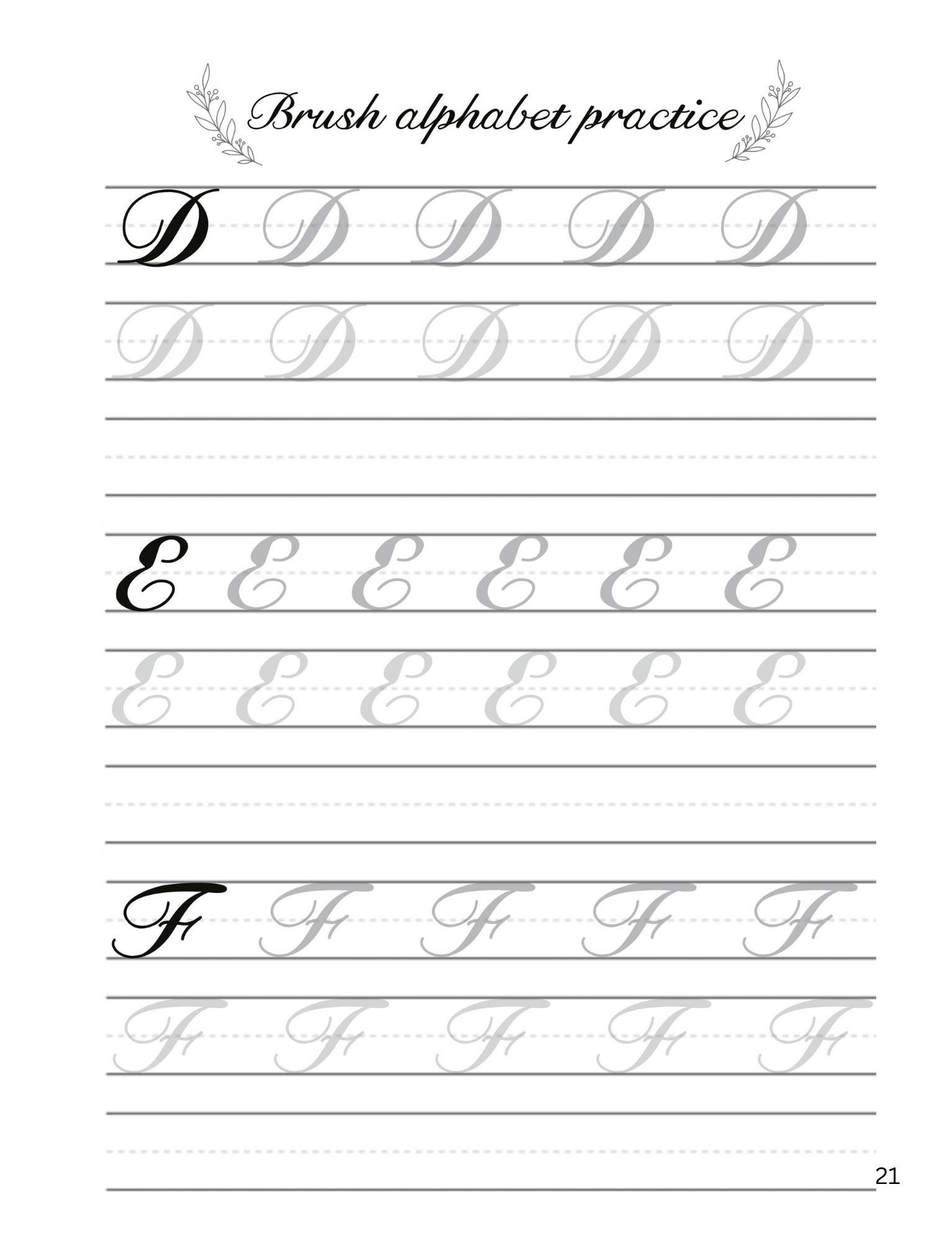 Introduction in Calligraphy Practice: Master Elegant Cursive ...